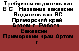 Требуется водитель кат В,С › Название вакансии ­ Водитель кат ВС - Приморский край, Артем г. Работа » Вакансии   . Приморский край,Артем г.